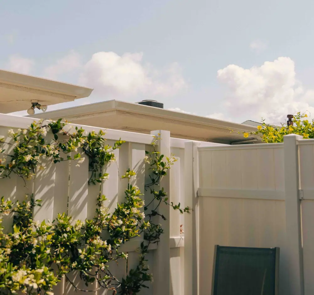 White vinyl privacy fence with jasmine vines in a Florida back yard (stock photo)