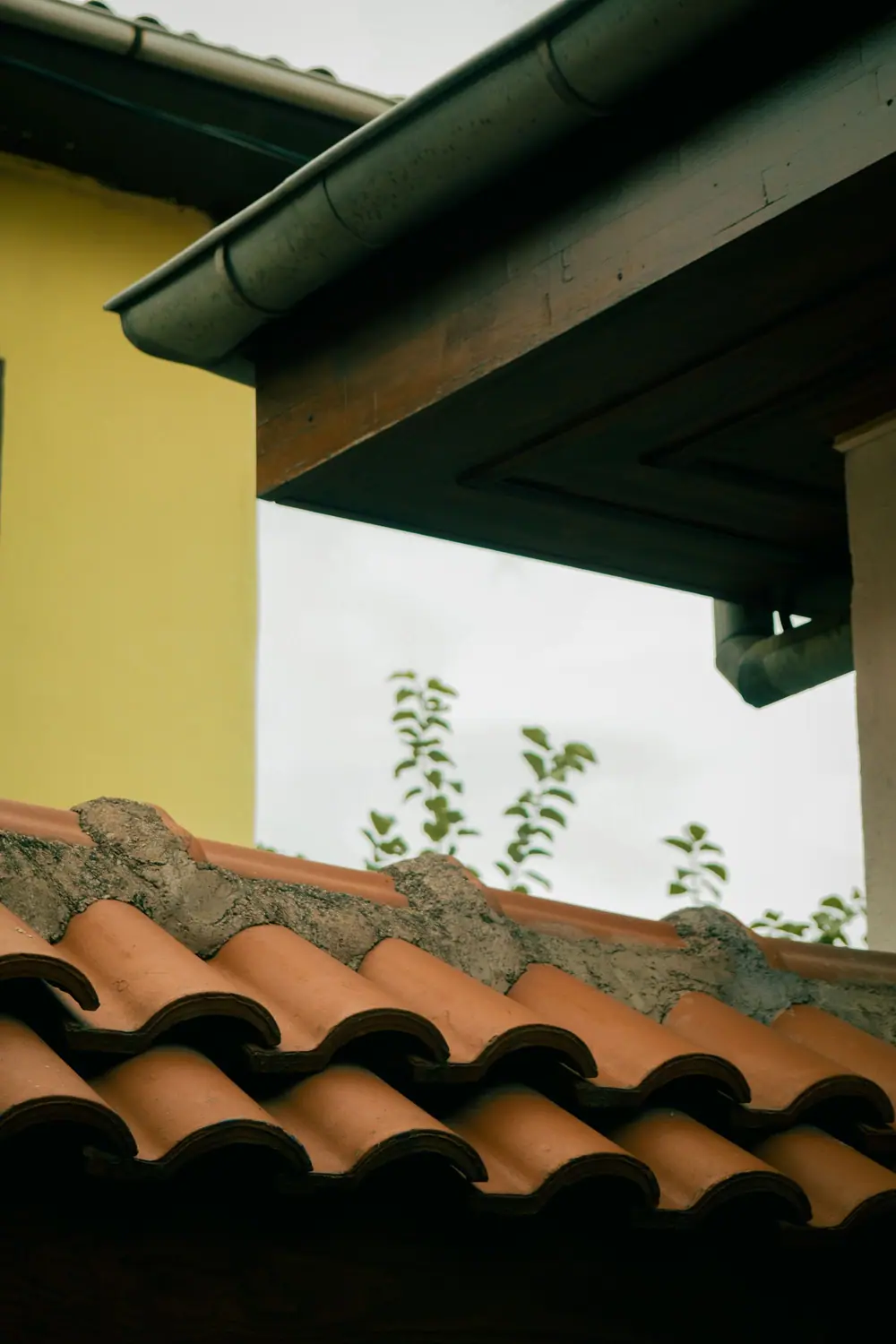 Dark gutter under a stucco eave above a barrel tile roof (stock photo)